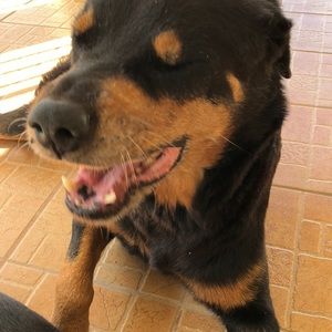 Meet your Posher, Miguel